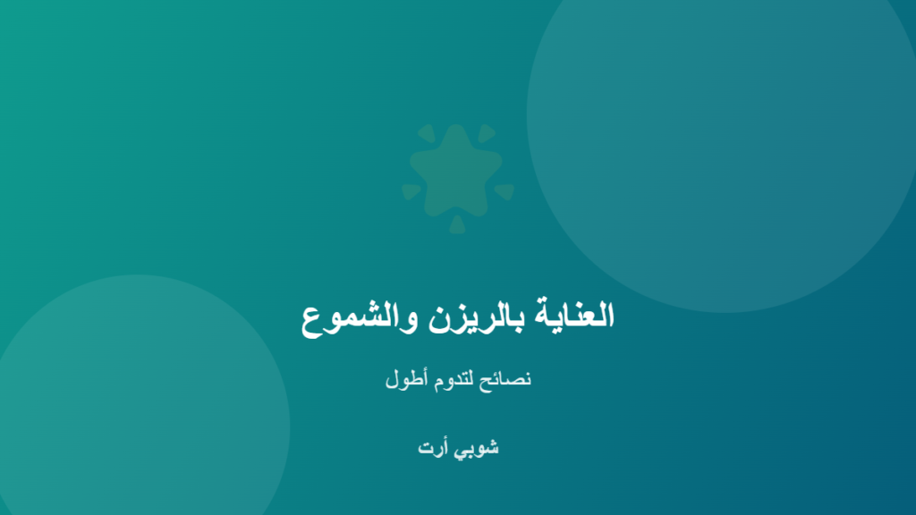 طريقة العناية بقطع الريزن والشموع لتدوم أطول - شوبي أرت