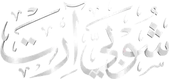 شوبي أرت
